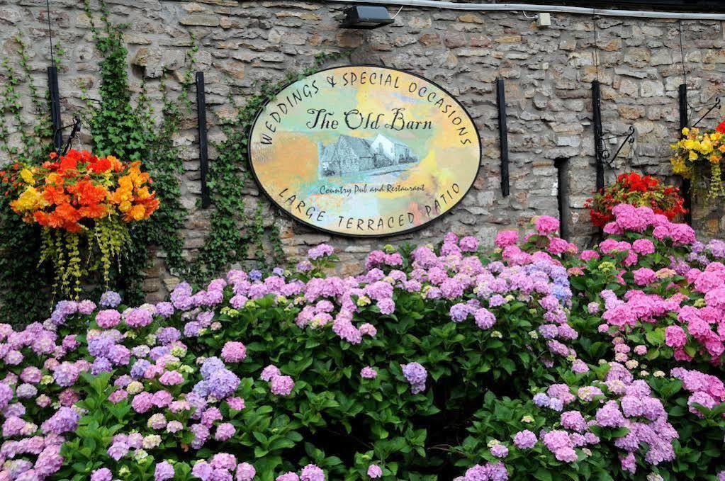 The Old Barn Inn نيوبورت المظهر الخارجي الصورة