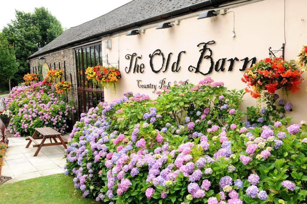 The Old Barn Inn نيوبورت المظهر الخارجي الصورة